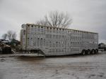 Used 2008 Merritt 53' Livestock for Sale