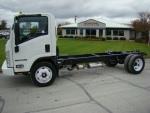 New 2018 Isuzu NPR HD EFI for Sale