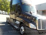 2014 Freightliner Cascadia EVO