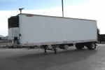 Used 2003 Great Dane for Sale