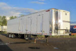 Used 2001 Great Dane for Sale
