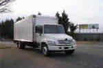 2008 HINO 268