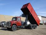 Used 1979 International F1954 for Sale