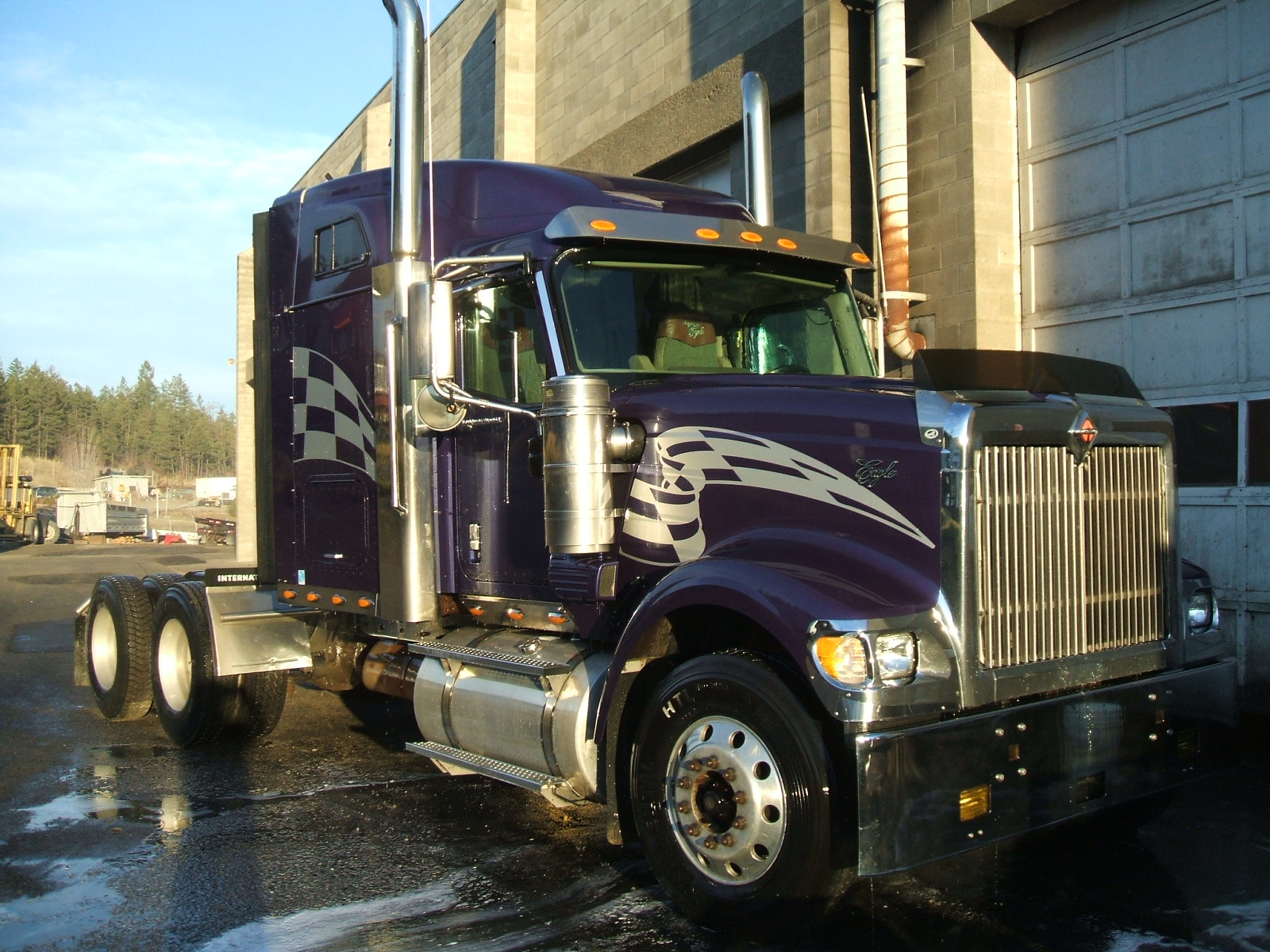 2007 International 9900