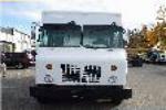 2010 WORKHORSE W31842